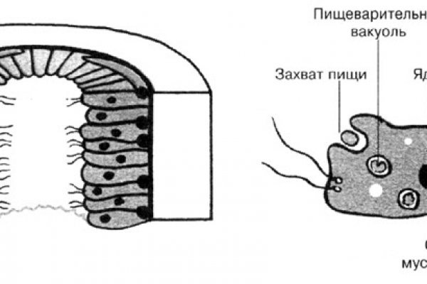 Кракен ссылка 2web krakendark link