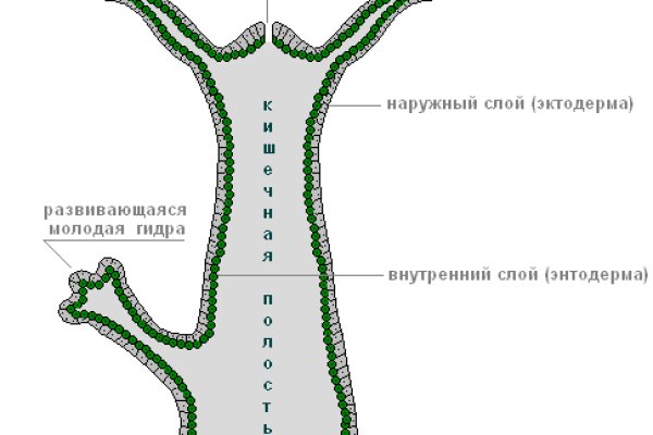 Кракен тор krakendark krakendark link